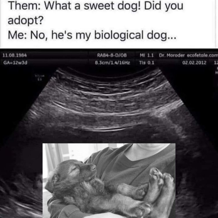 biological dog.jpg