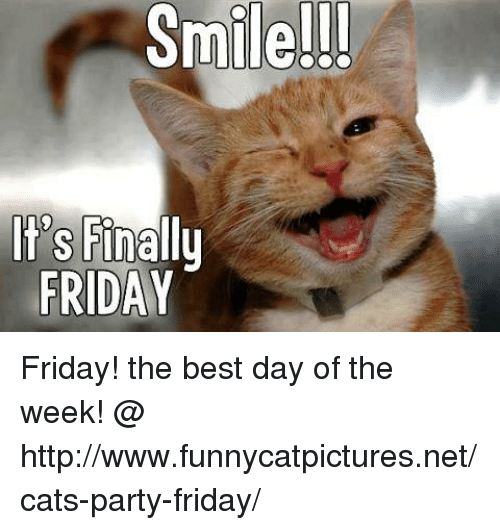 CAT SMile ile-its-finally-friday-friday-the-best-day-of-the-8185202.png