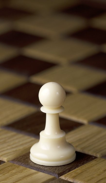 Chess_piece_-_White_pawn.JPG