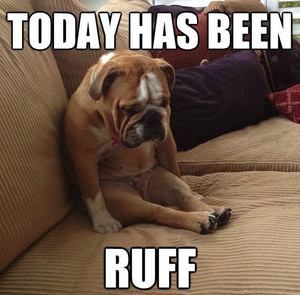 today-has-been-ruff-funny-dog-memes.jpg