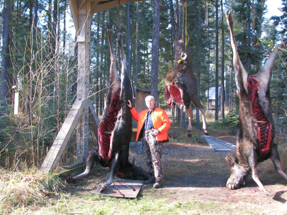 Moose Hunting 015 (26).JPG