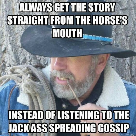 Cowboy Straight Story.jpg