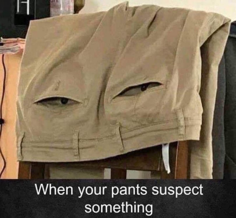 446226026_Pantslooksuspicious.jpg.94145da6ae3aefc214f09e5bee3dff16.jpg