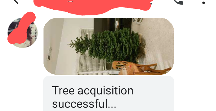 676763019_Screenshot_20211208-1203513.png.532d95a7e128b85dd1dc32b9fde323ee.png