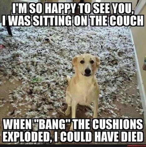Exploding couch ed (1).jpg