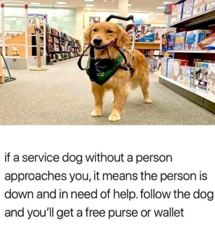 person-approaches-means-person-is-down-and-need-help-follow-dog-and-get-free-purse-or-wallet.jpg