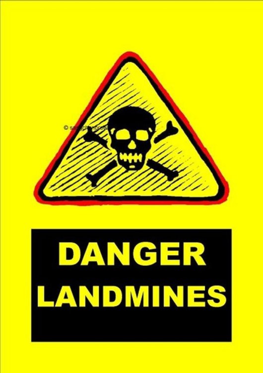 DANGER LANDMINES.jpg