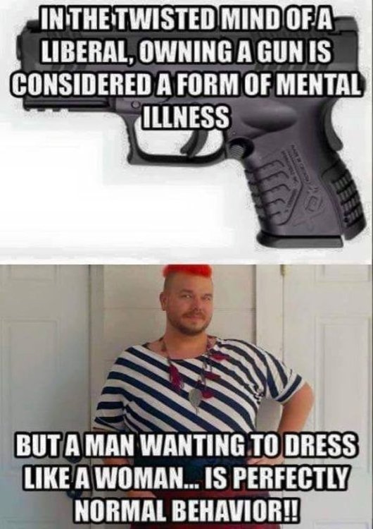 Jasper Yates Feb 4 2022 A gun is mental problem but gender issues are OK.jpg