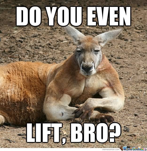 Do-You-Even-Funny-Kangaroo.jpg.a4455f824e28afef195126b46d34e9ba.jpg