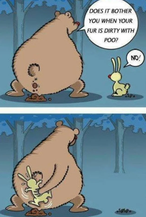 bear poop.PNG