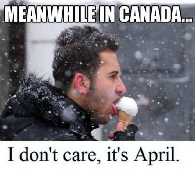 Funny-Crazy-Meme-Pictures-Meanwhile-In-Canada-17.jpg.7a51d69accb7039d325232bca01385c7.jpg