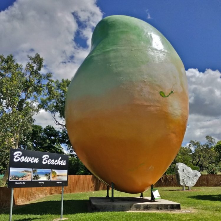 Big-Mango-in-Bowen.thumb.jpg.ea7e91c899f8452d4675005e0125da2e.jpg