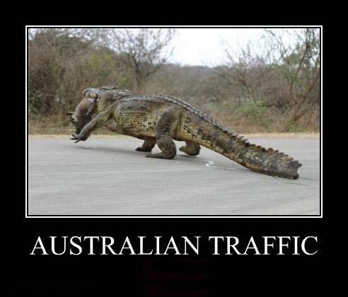 australian-traffic.jpg.69e1e681fa71ed7f646cfbc28c1c57bd.jpg