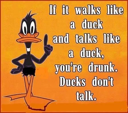 drunk-duck.jpg.3811fd7b064bb0fdcaa2b3de96ee47ff.jpg