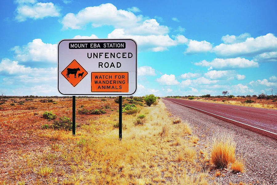 unfenced-stations-warning-signs-outback-australia-lexa-harpell.jpg.3984e1f2d3d4ee221f5c5618f0a3be12.jpg