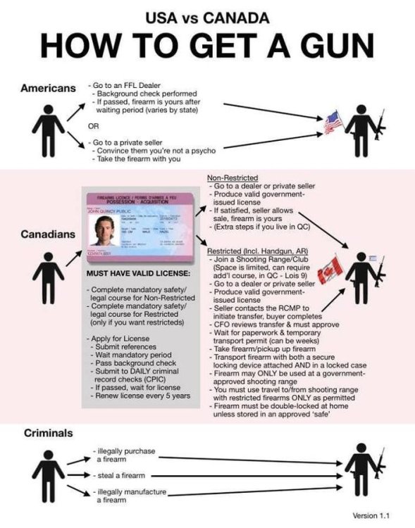 Gun Control US vs Canada_n.jpg