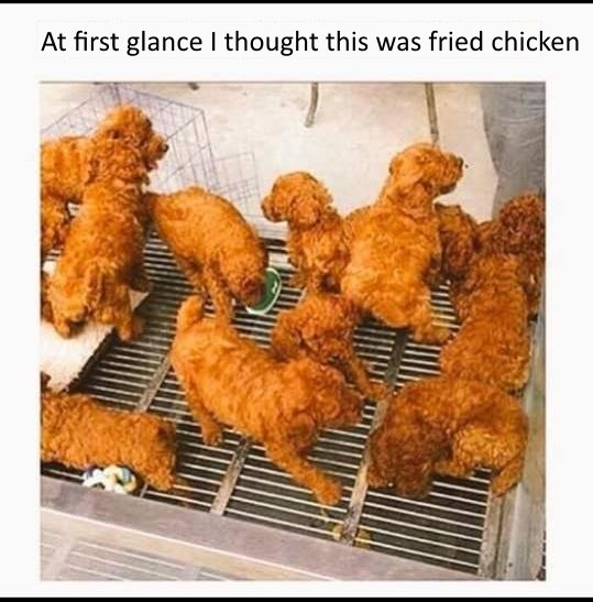 198073785_FriedChicken.jpeg.816e18b59e865e97f66e74d738033ebc.jpeg