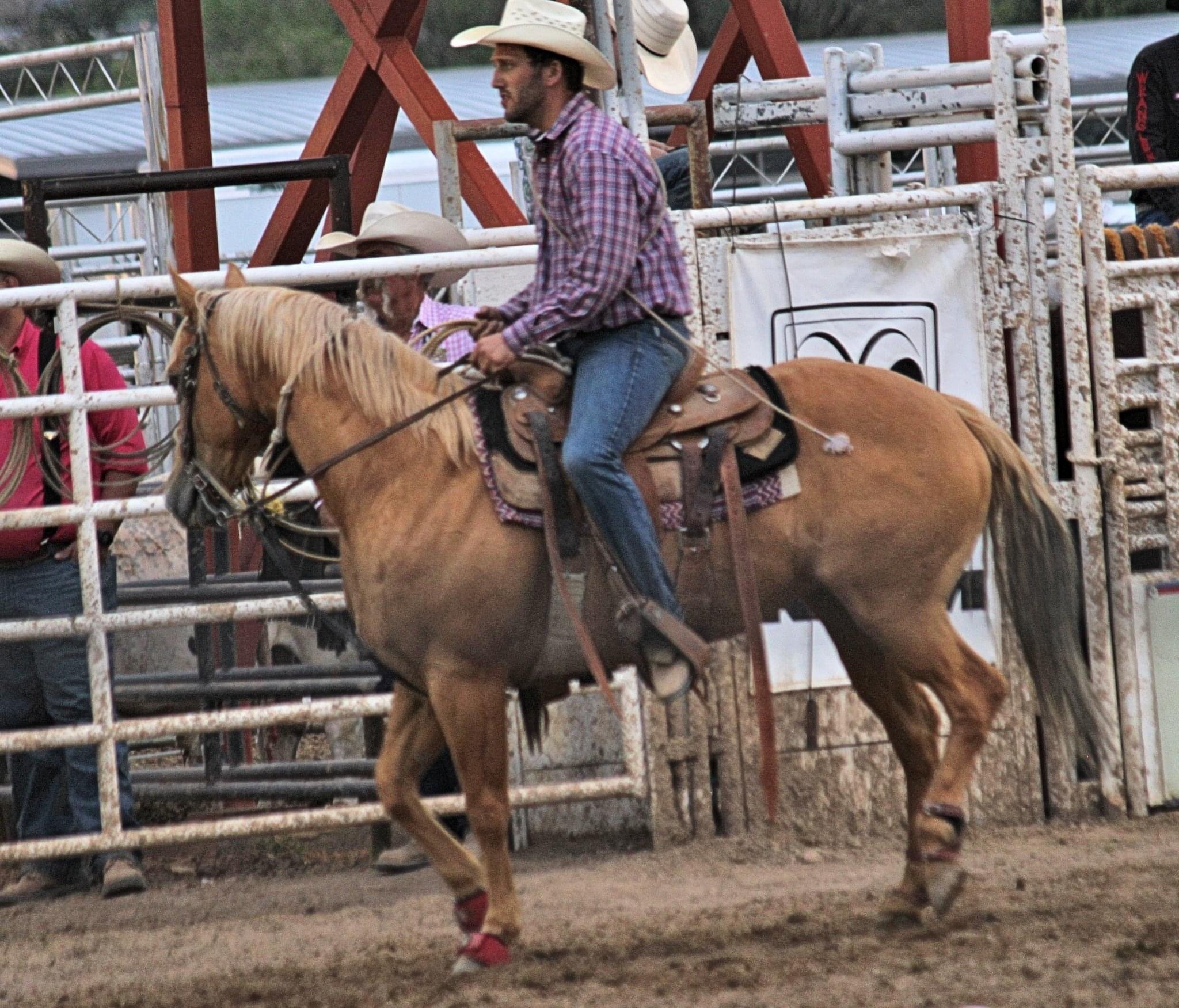 A few rodeo shots from Santa Fe - SASS Wire Saloon - SASS Wire Forum