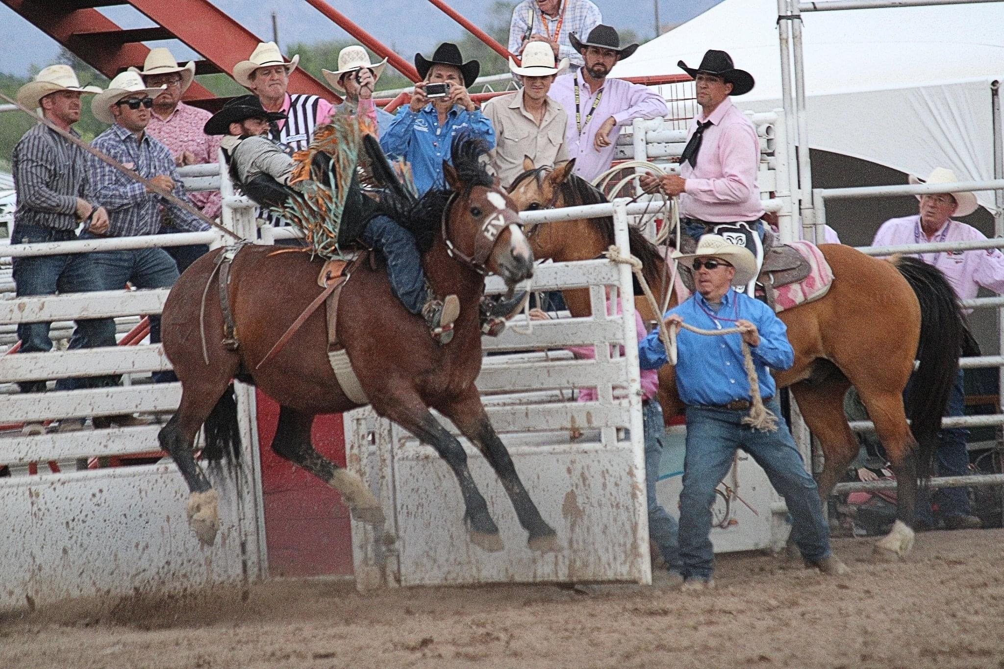 A few rodeo shots from Santa Fe - SASS Wire Saloon - SASS Wire Forum