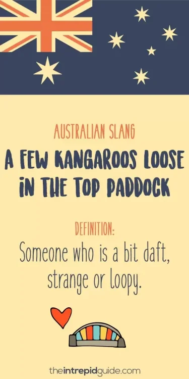 australian-slang-a-few-kangaroo-loose.thumb.webp.8029c1feb751db7fe0fd3662d5360321.webp