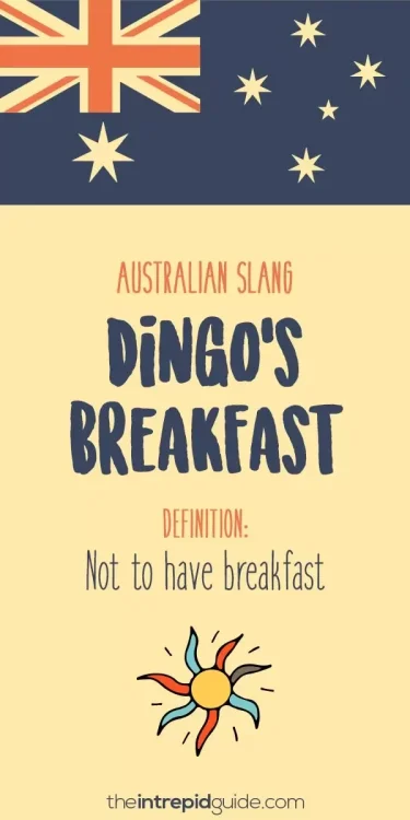 australian-slang-dingos-breakfast.thumb.webp.0385b95677f0595eeb25e8e2ff954548.webp
