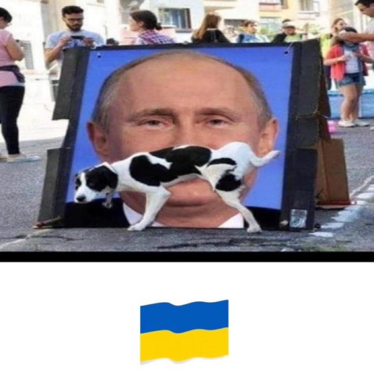 Dog Peeing On Putin Picture unnamed.jpg