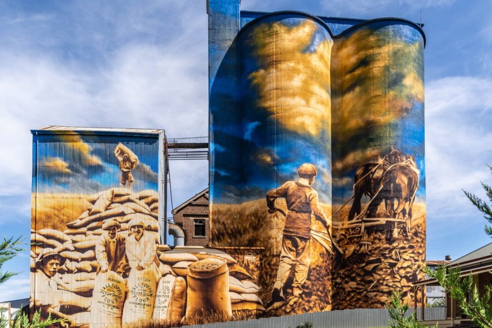 Murrumburrah-silo-art_main-photo.thumb.jpg.87bf8b0ce49bea8b5ddd7dcb432020a7.jpg