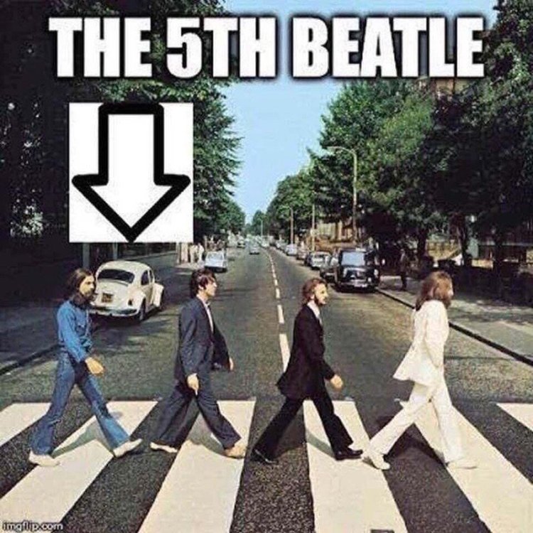 beatle.jpg