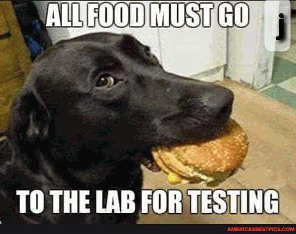 lab testing food.jpg