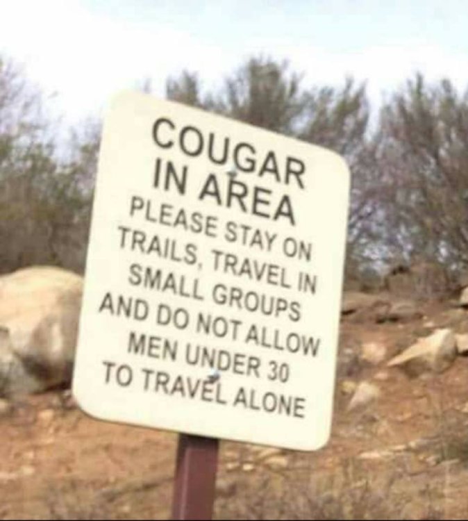 Cougar warning sign.jpg
