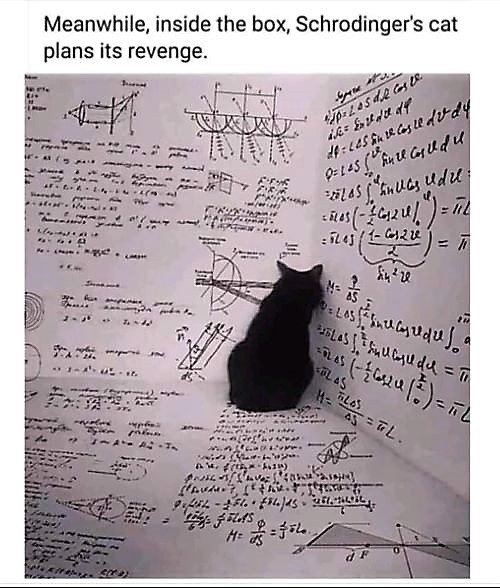 cats revenge.jpg