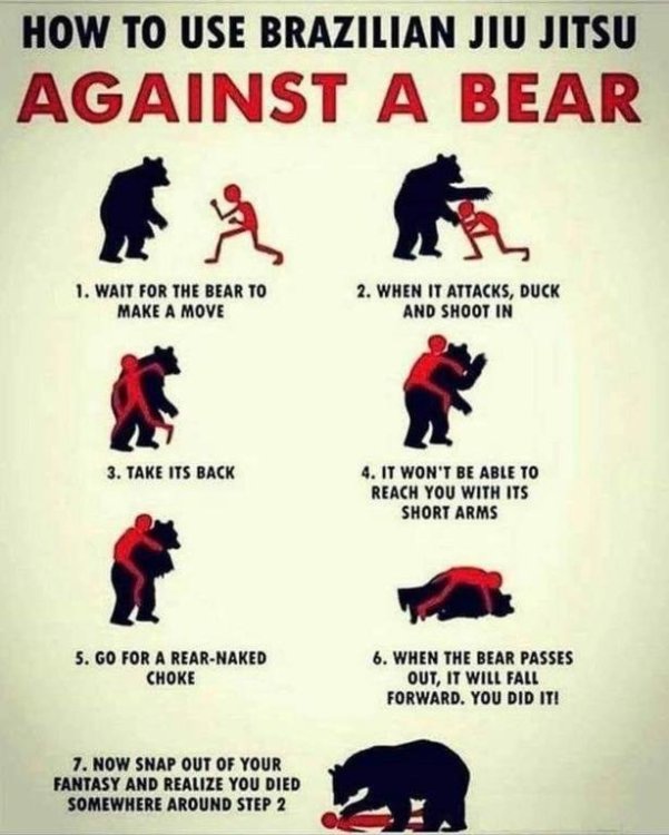 Bear joke.jpg