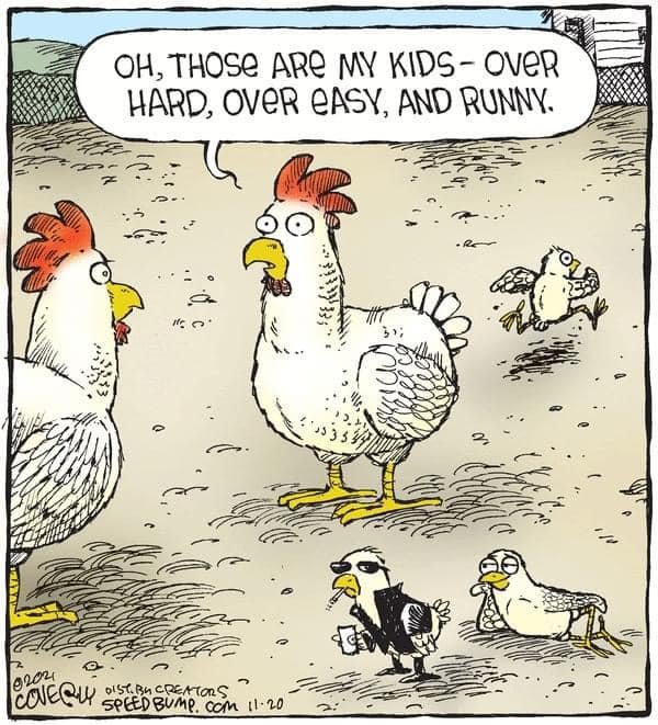 chickens.jpg