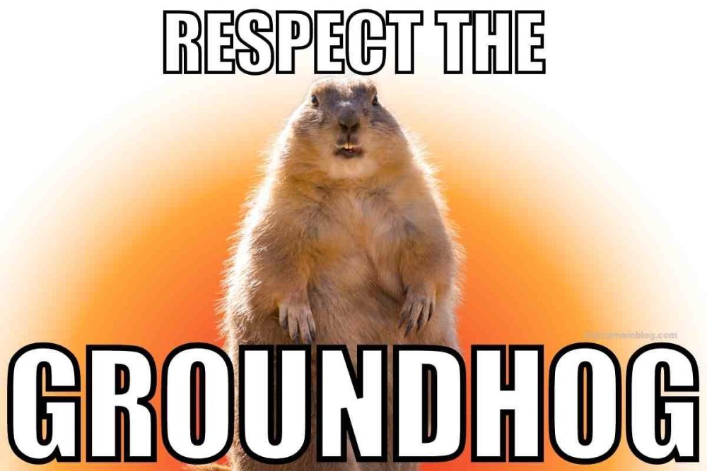 respect-the-groundhog-meme.jpg