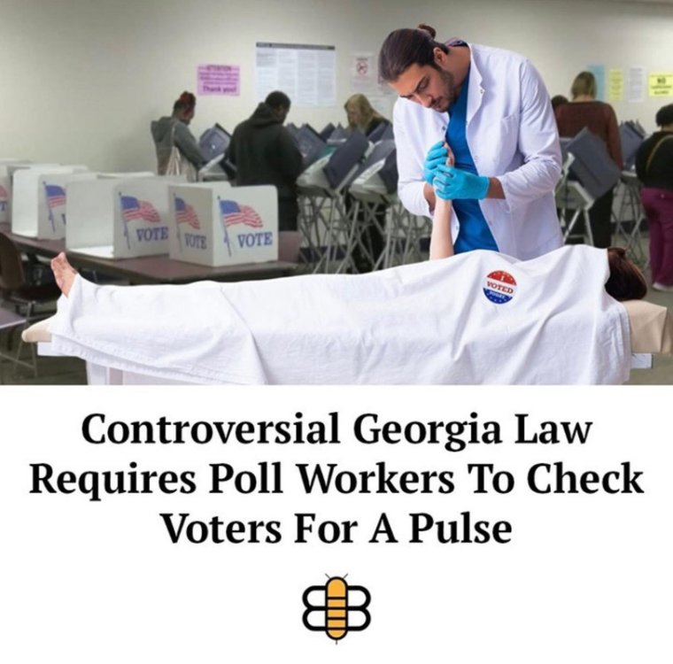 Georgia Law Check for Voters Pulse.jpg