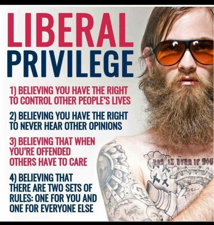 Jasper Yates Liberal-privilege.jpg