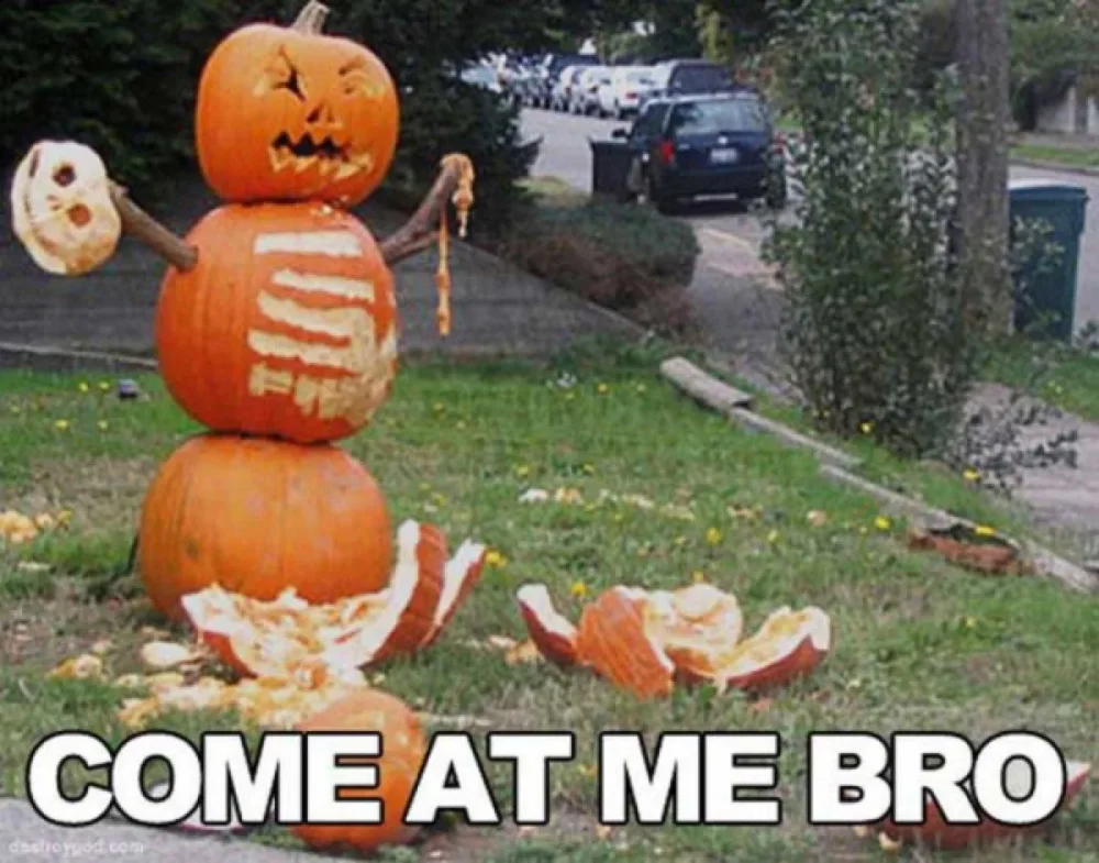 funny-halloween-meme-pumpkin.webp