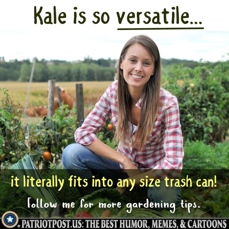 kale.thumb.jpeg.d46578f78c3396825b3ce8d6344ad0fb.jpeg