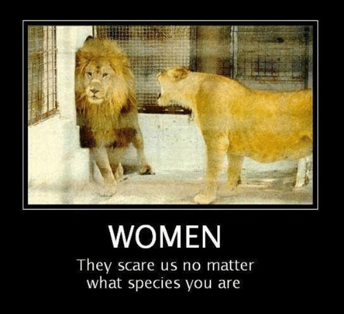 women-they-scare-us-no-matter-what-species-you-are-4586234-kindlephoto-25123033.png