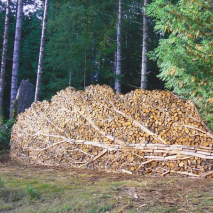 woodpile.jpg.84f2458009e901192a46593a13107ce3.jpg