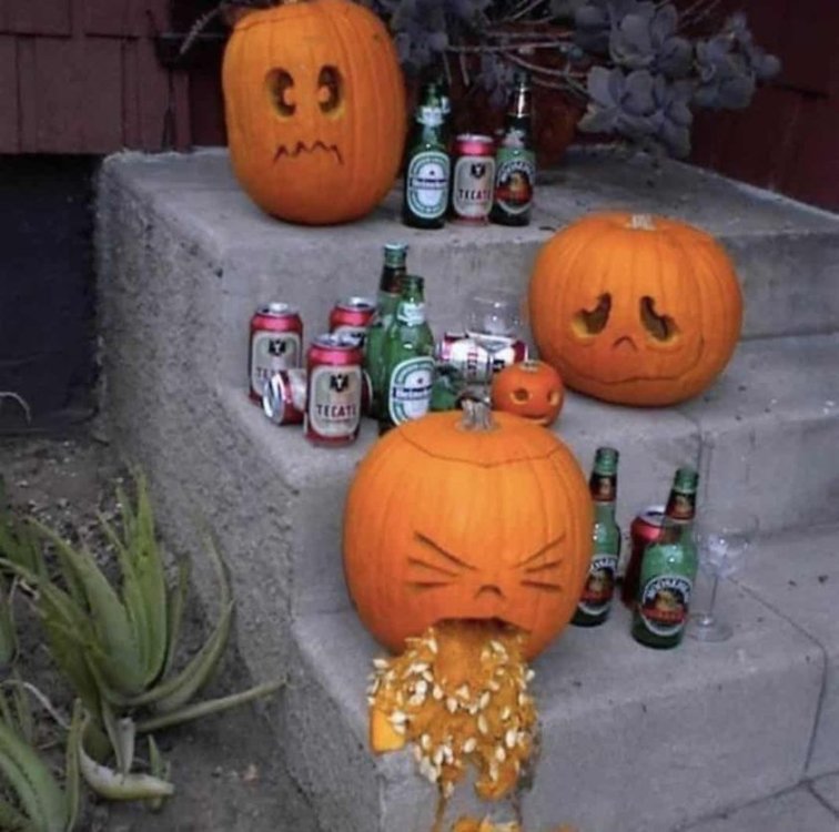 1604851196_DrunkPumpkins.thumb.jpg.6c5b8eb47edcb364417155708e4165fd.jpg