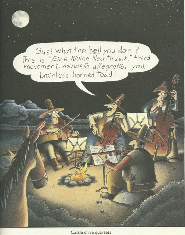 c06d6f80c7f1e1d3588937838f698b5a-music-humor-gary-larson.jpg