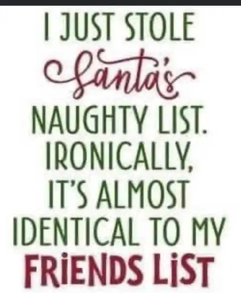 just-stole-santas-naughty-list-same-as-friends-list.webp