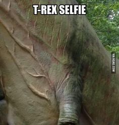 trex selfie.jpg
