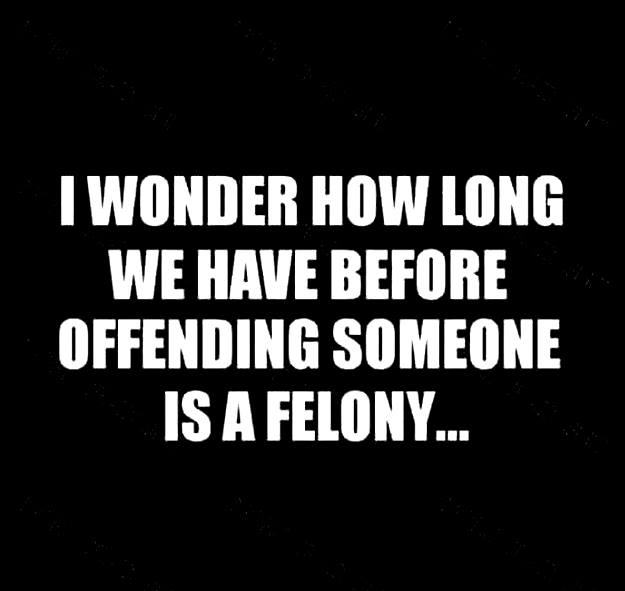offending felony.jpg