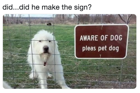 dog-meme-pet-sign-1546528764.webp