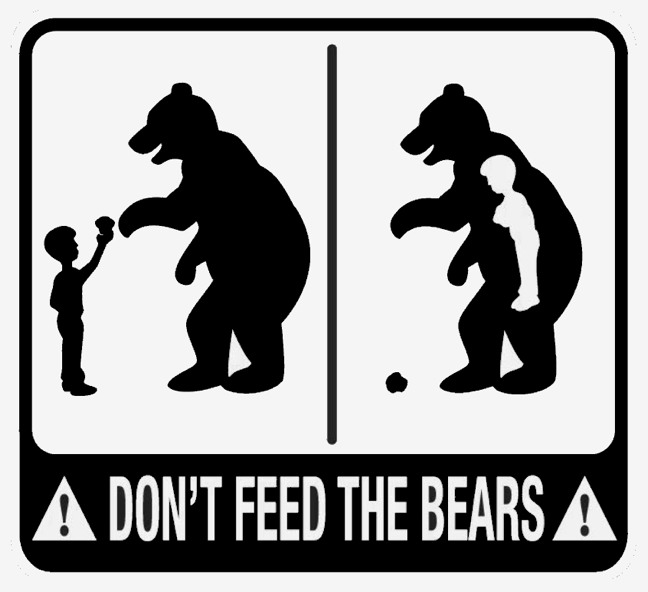 Don't Feed the Bears GS.jpg