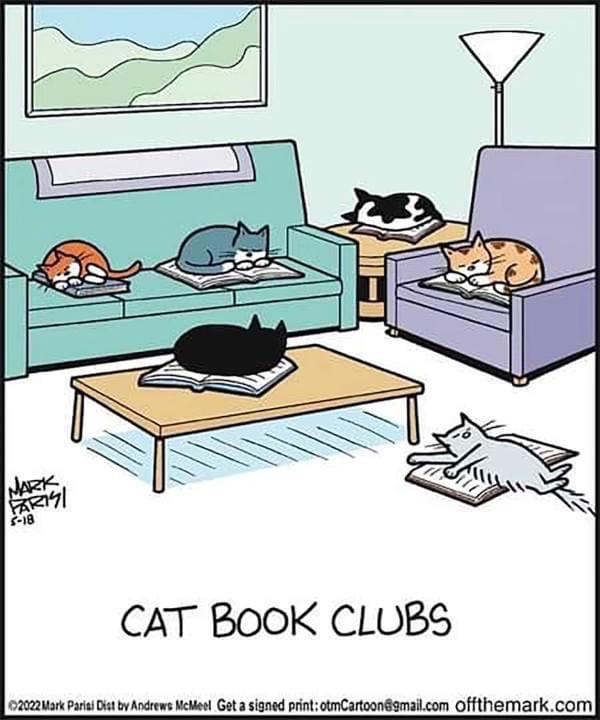 Cat book clubs.JPG