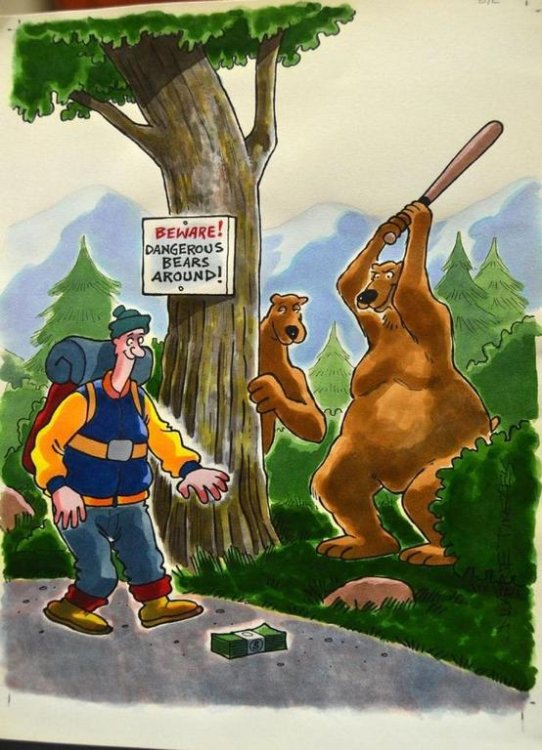 dangerous bears.jpg
