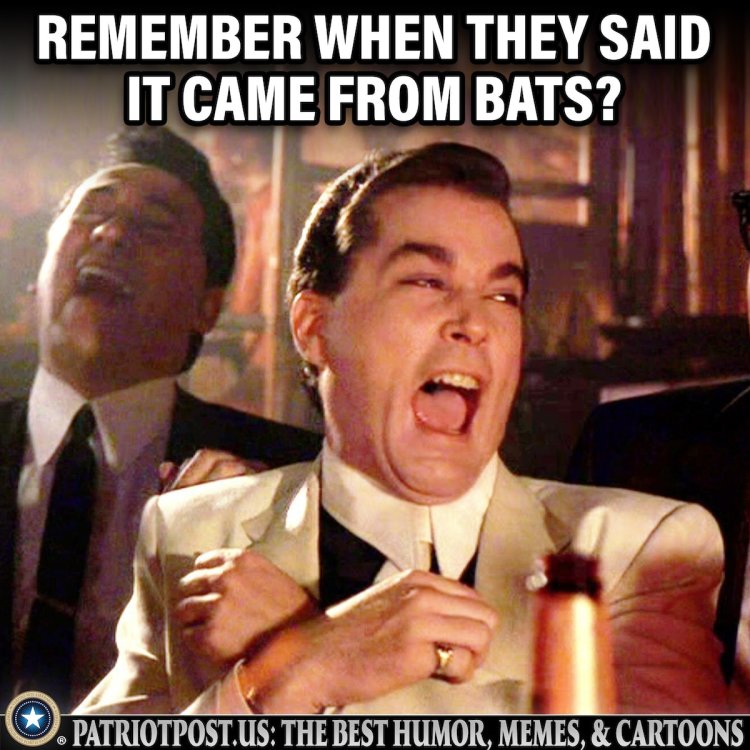 bats.thumb.jpeg.b65fb532d363a5c91932552d7d0e671f.jpeg